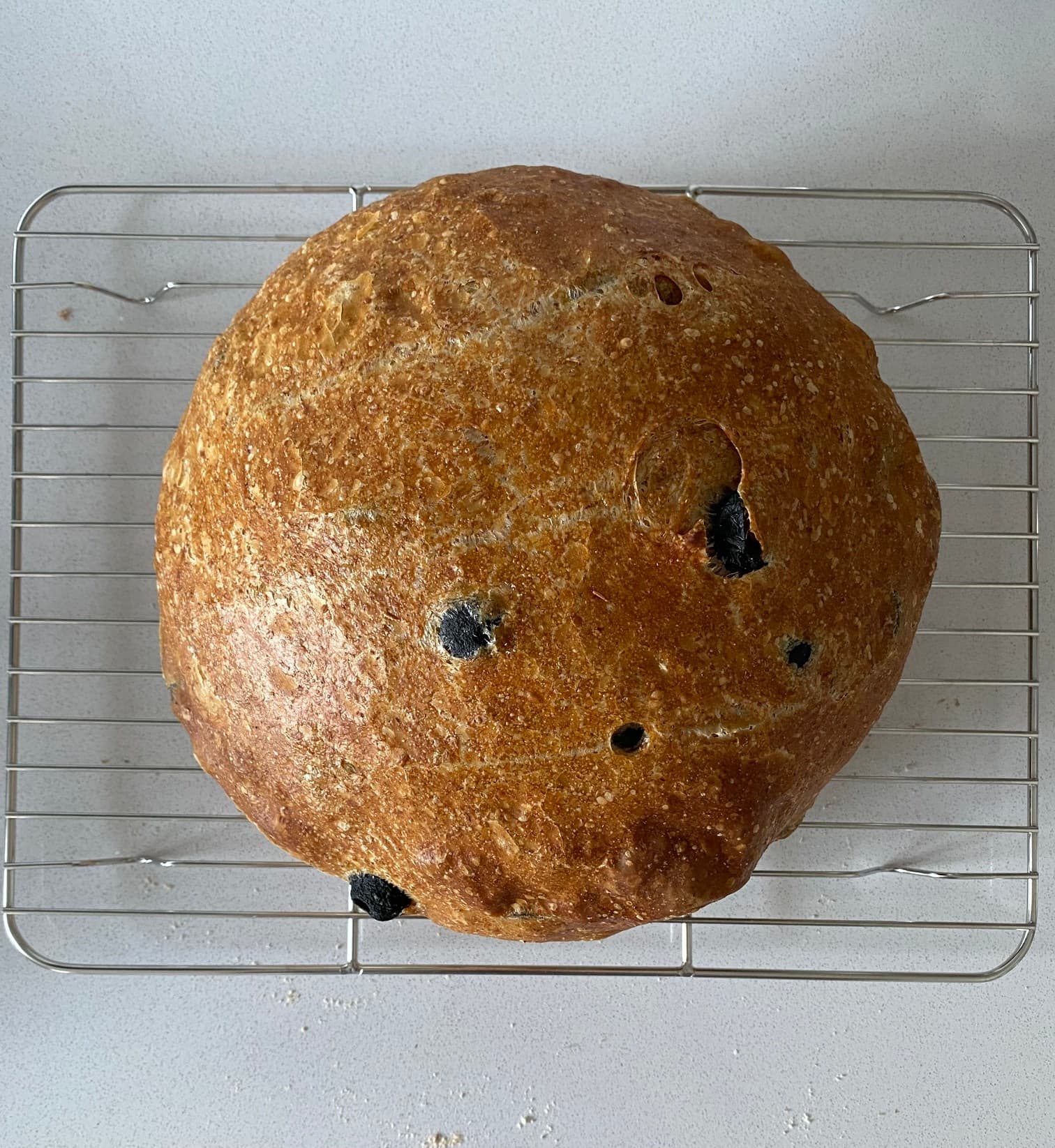 Olive bread