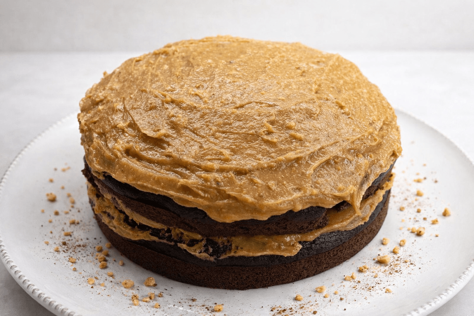 Chocolate peanut butter cake